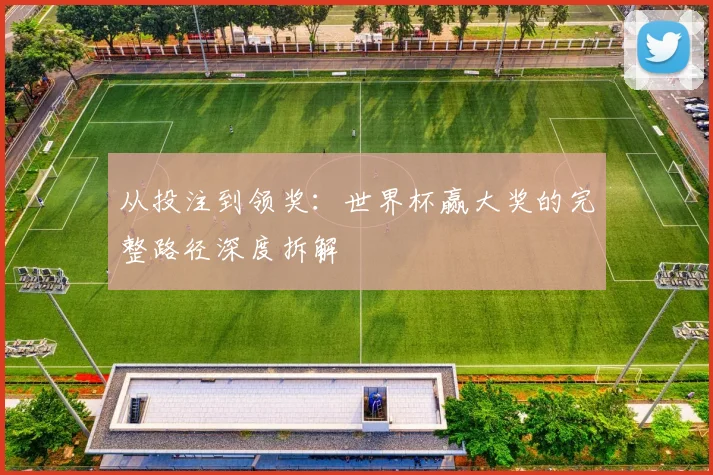 从投注到领奖：世界杯赢大奖的完整路径深度拆解